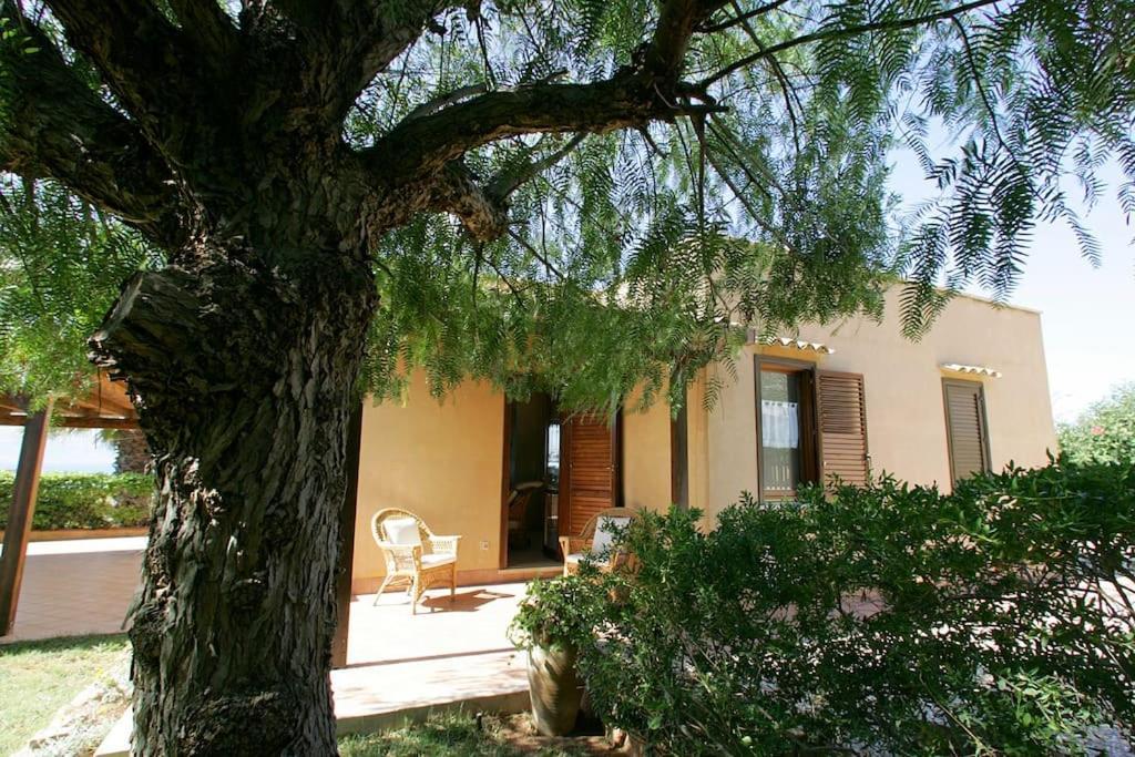 Villa Levante Vista Mare Cornino Custonaci Bagian luar foto